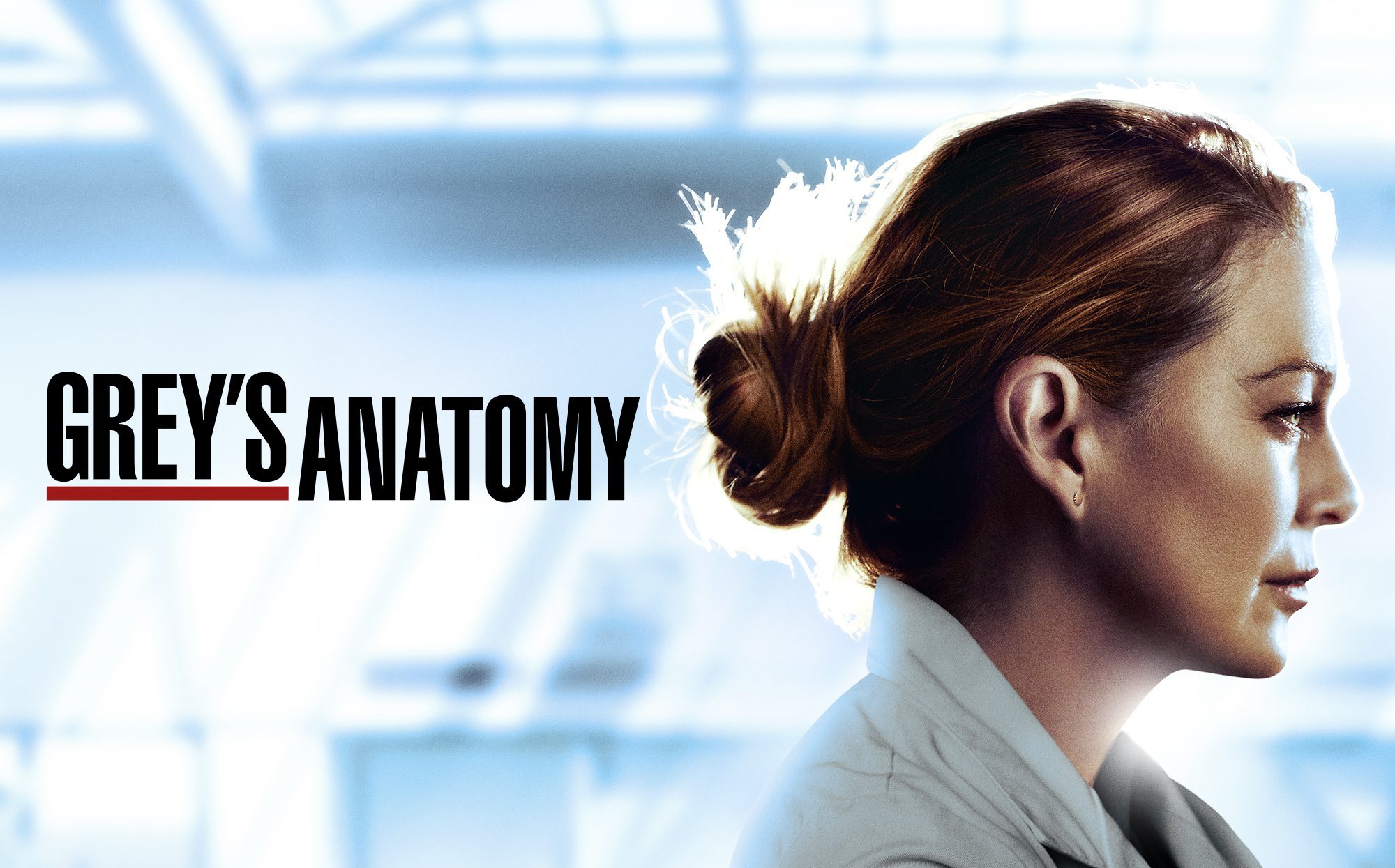 When Is Season 18 Of Greys Anatomy Coming To Netflix