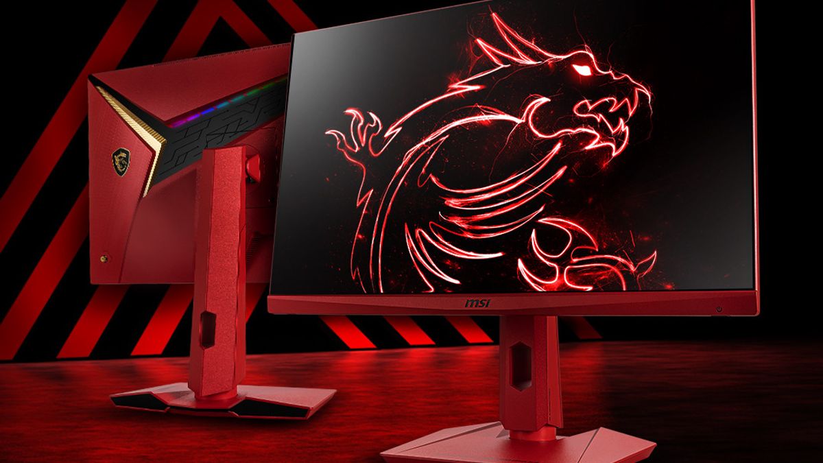 11 Best Msi Monitor for 2024