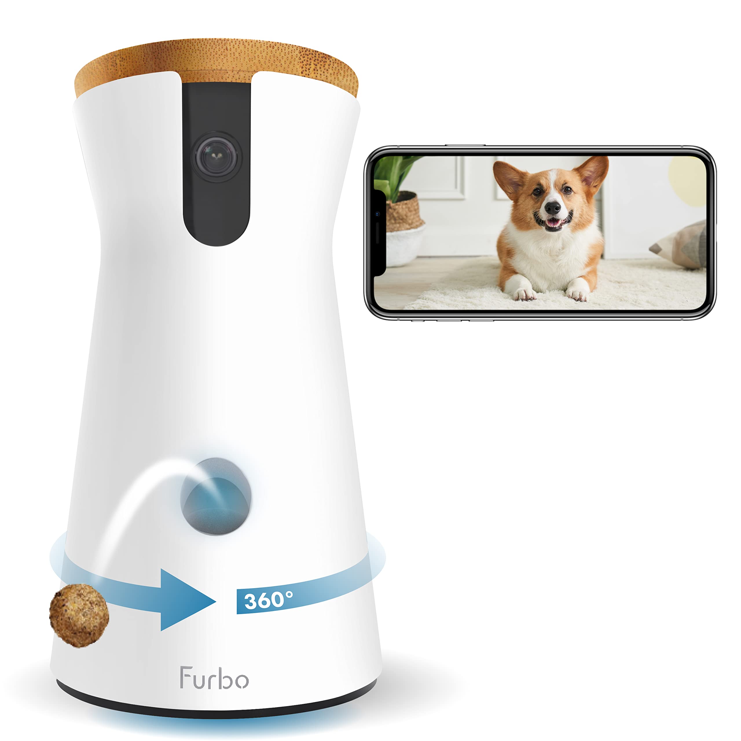 14 Best Dog Webcam for 2024