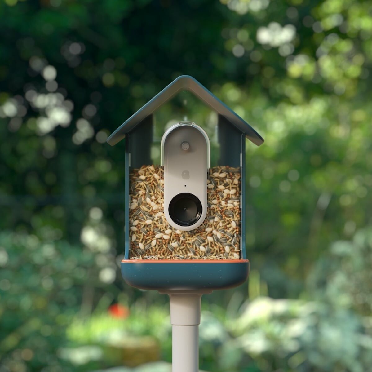 Bird Buddy Launches Bird Buddy Explore, Allowing Users To Birdwatch Anywhere