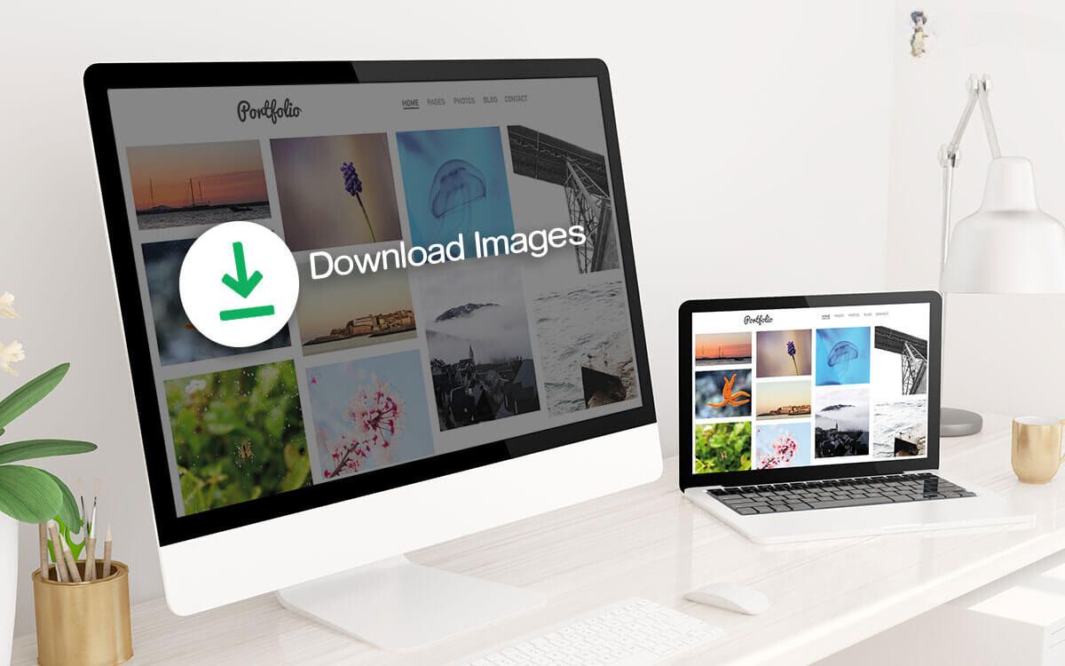 how-to-download-all-the-images-from-a-website