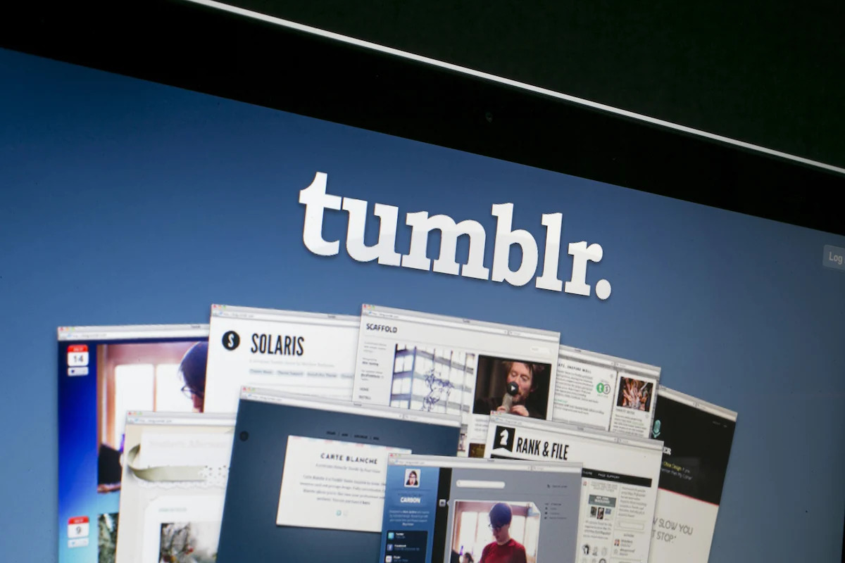 How To Download An Entire Tumblr Blog