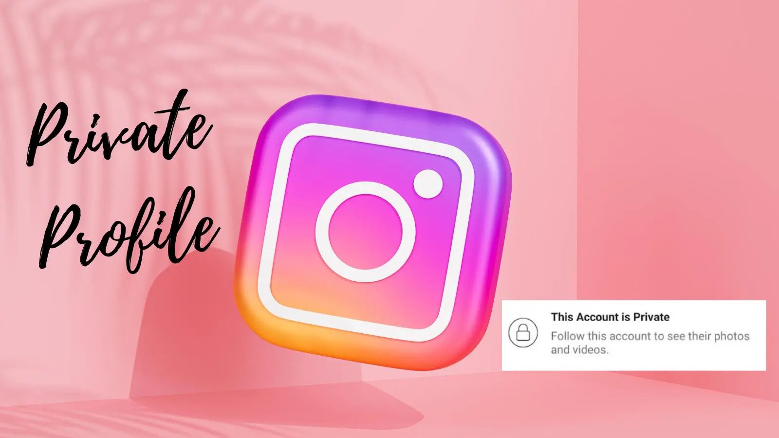 How To Download Instagram Videos From Private Account