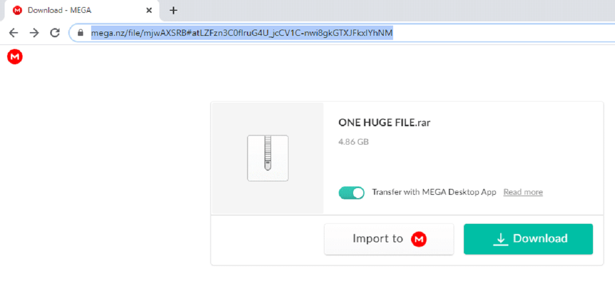 How To Download Mega Files