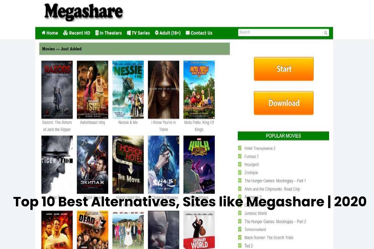 How To Download Megashare Videos Online