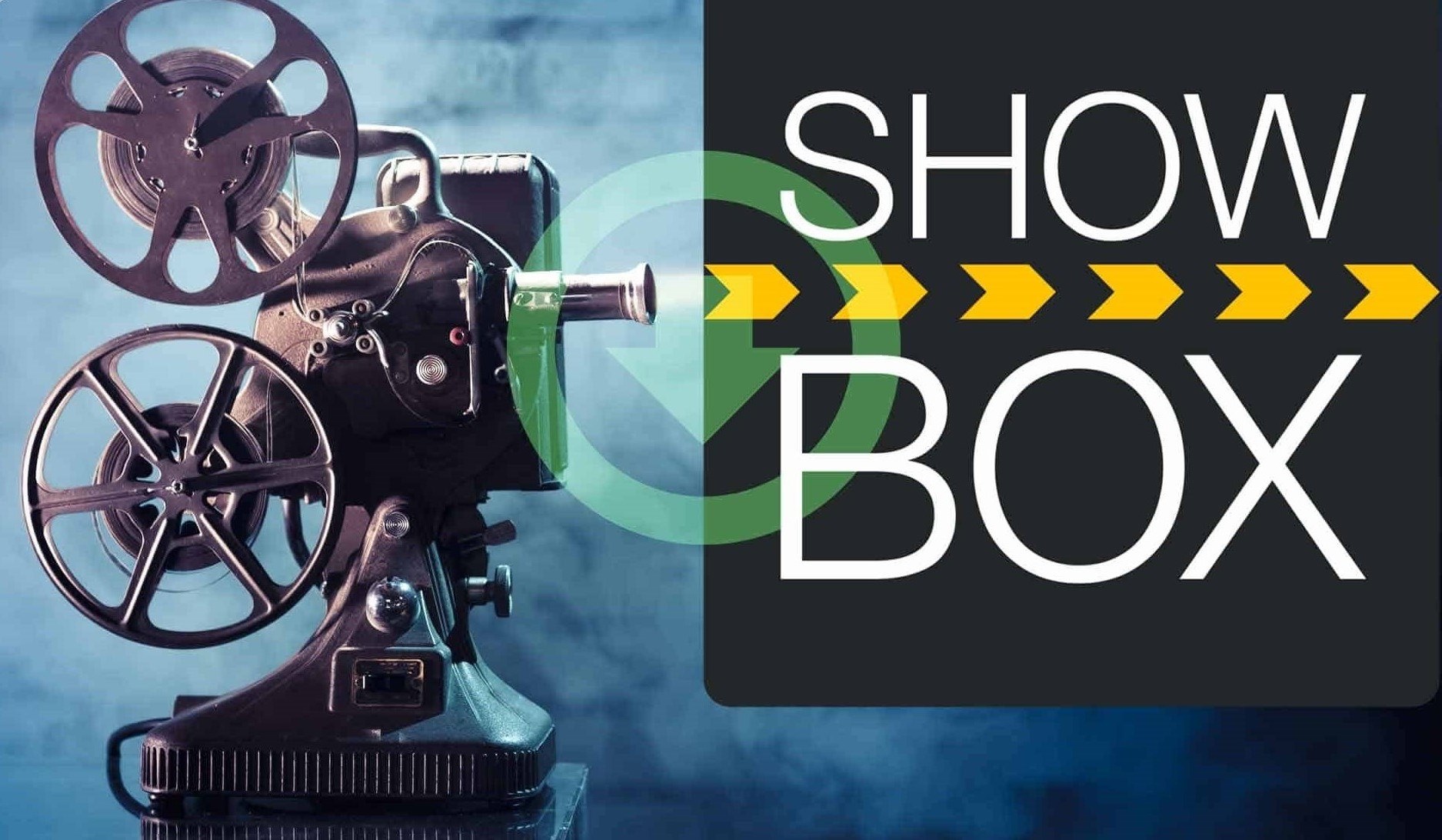 how-to-download-movies-from-showbox-app