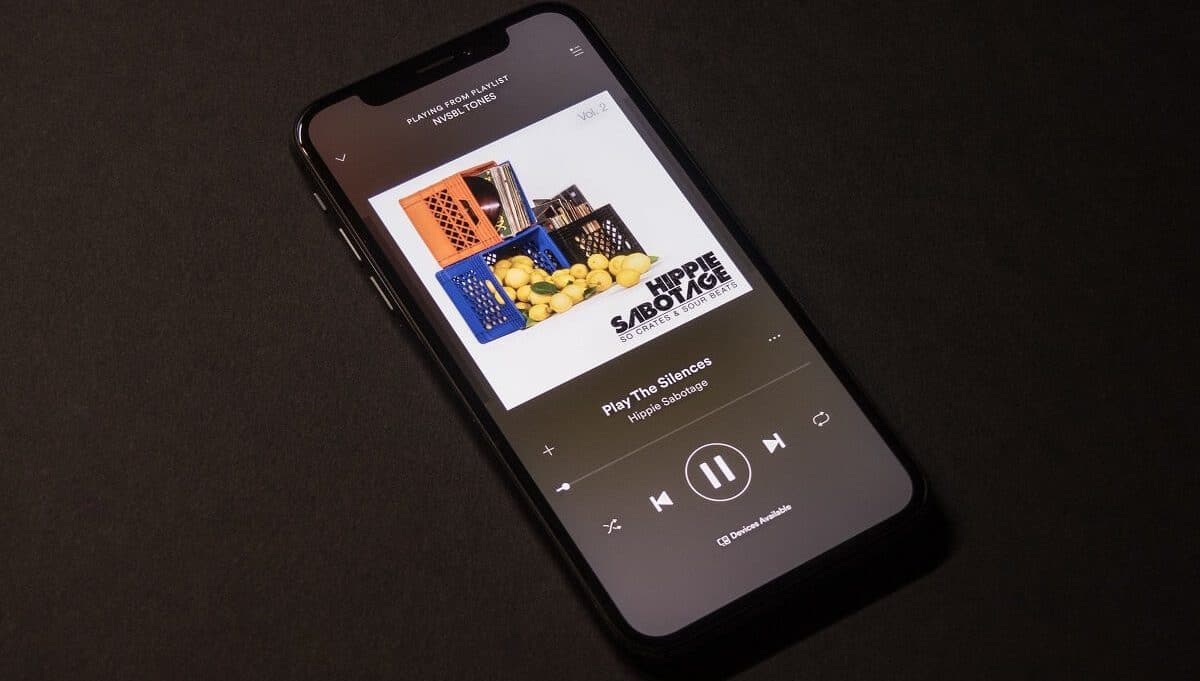 How To Download Offline Music On IPhone