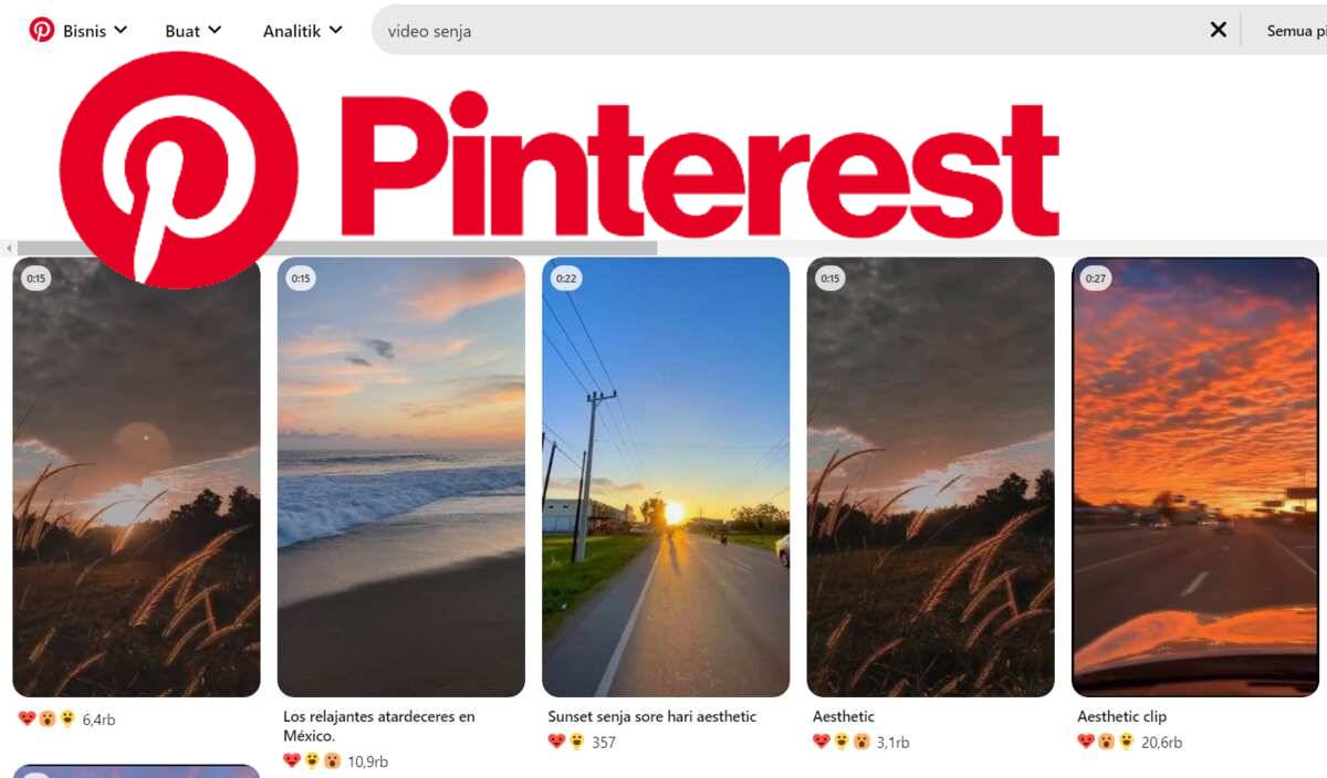 How To Download Pinterest Videos In Gallery