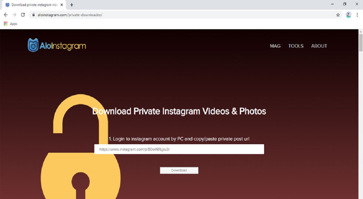 How To Download Private Instagram Pictures