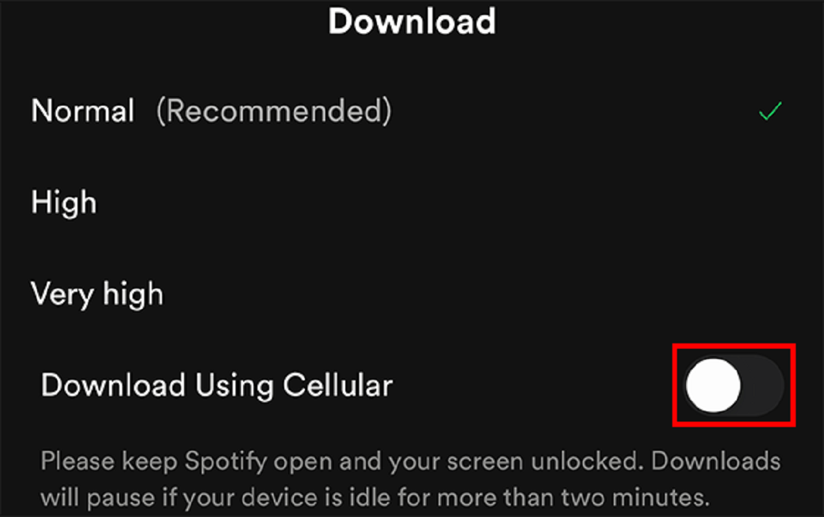 How To Make Spotify Download On Data