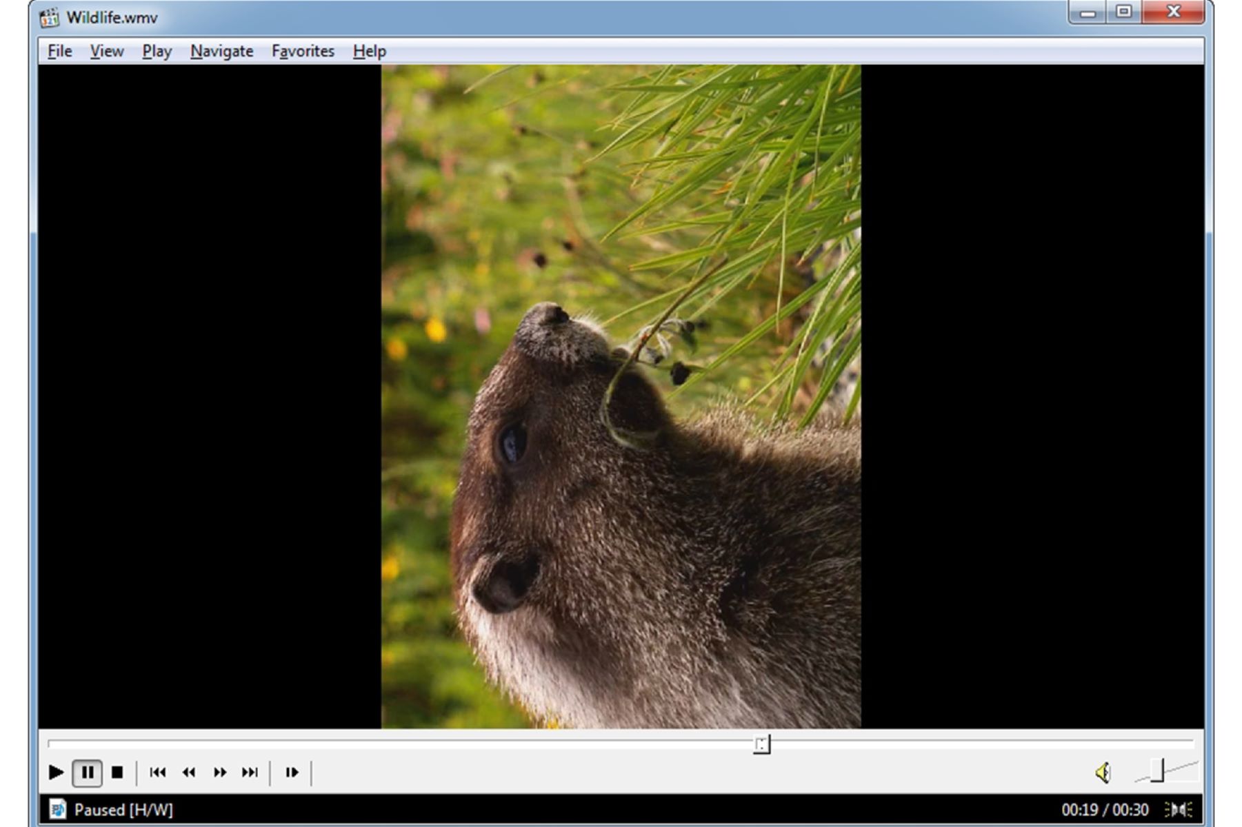 How To Rotate Video In Windows Media Player