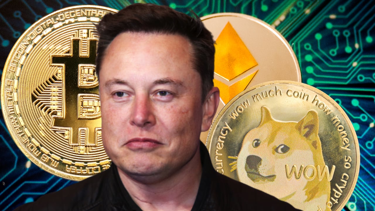 What Crypto Does Elon Musk Own