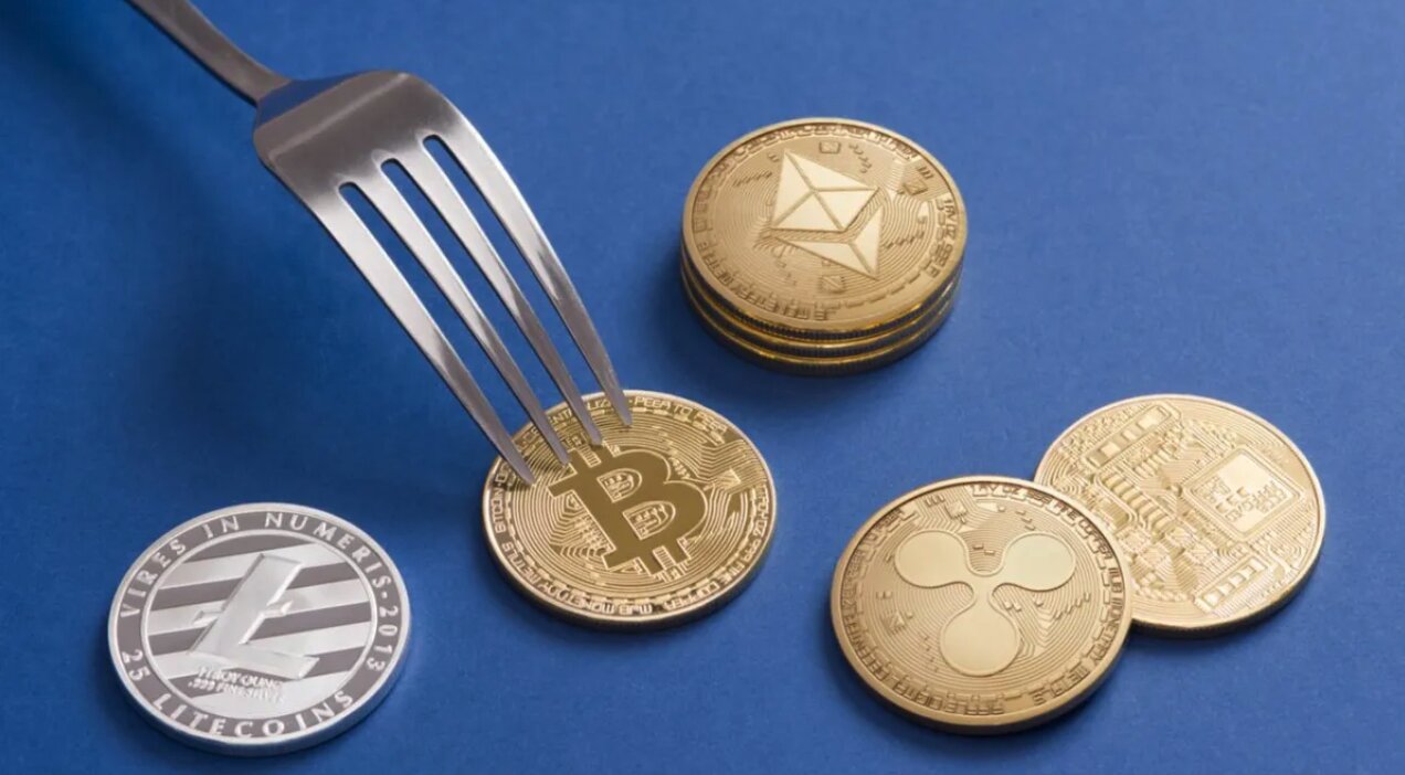 what-does-fork-mean-in-crypto