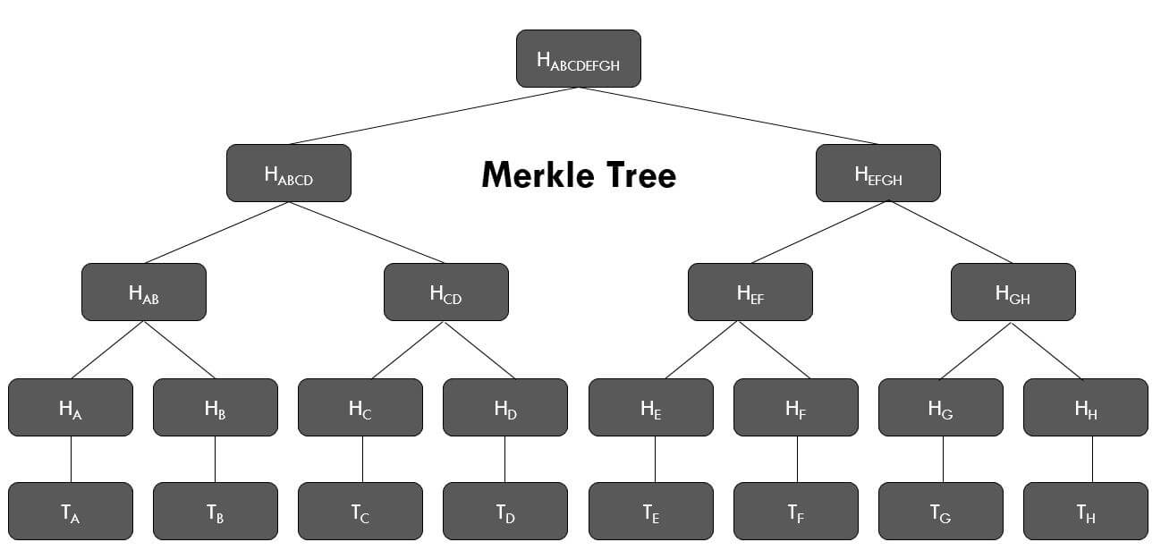 what-is-a-merkle-tree-in-blockchain
