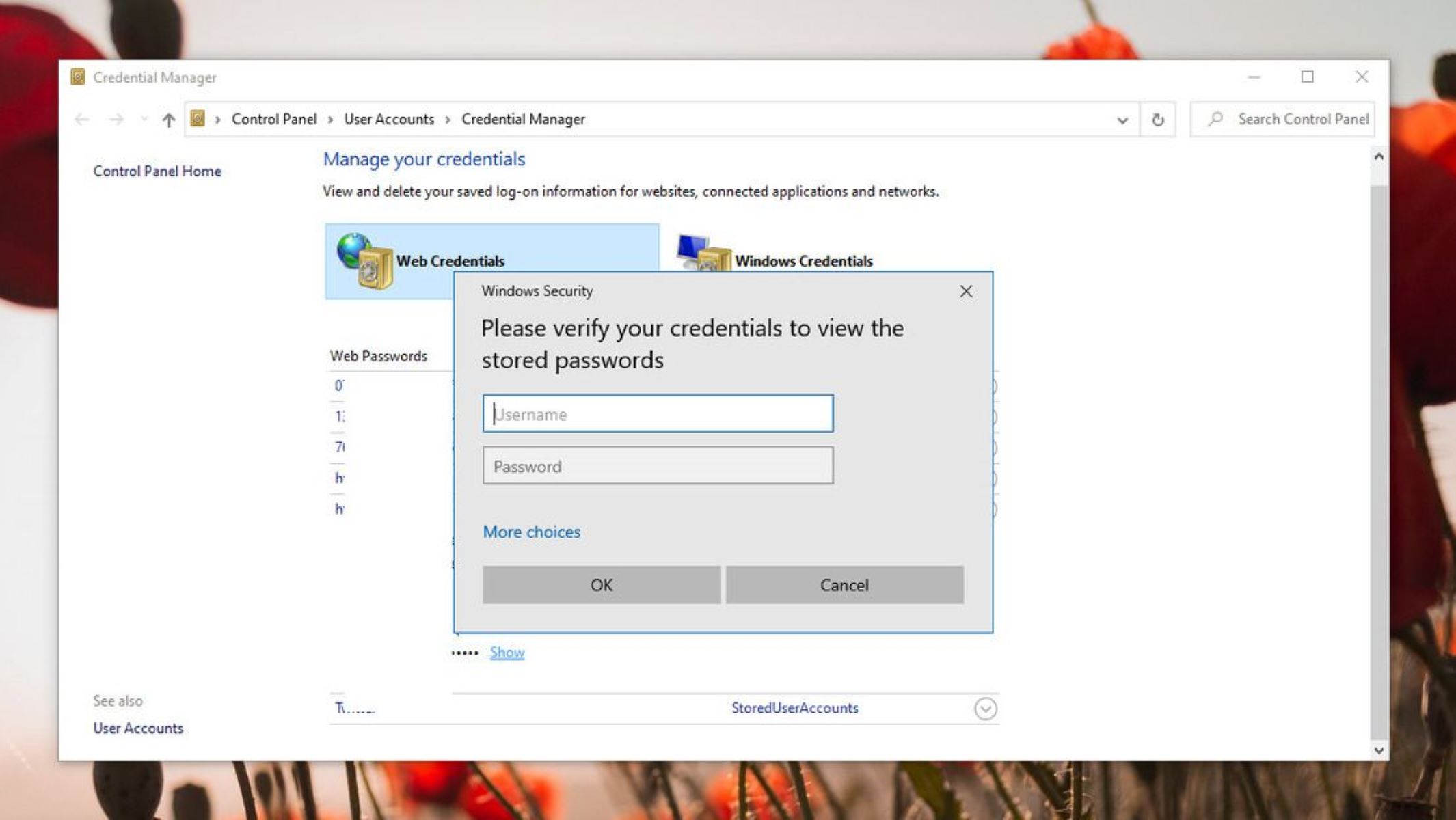 Where Are Passwords Stored In Windows