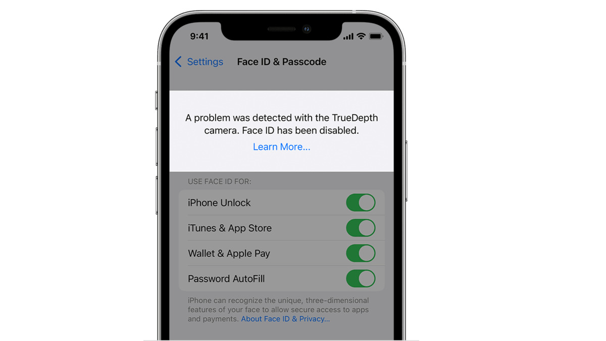 Face ID and Passcode Not In Settings - GadgetMates