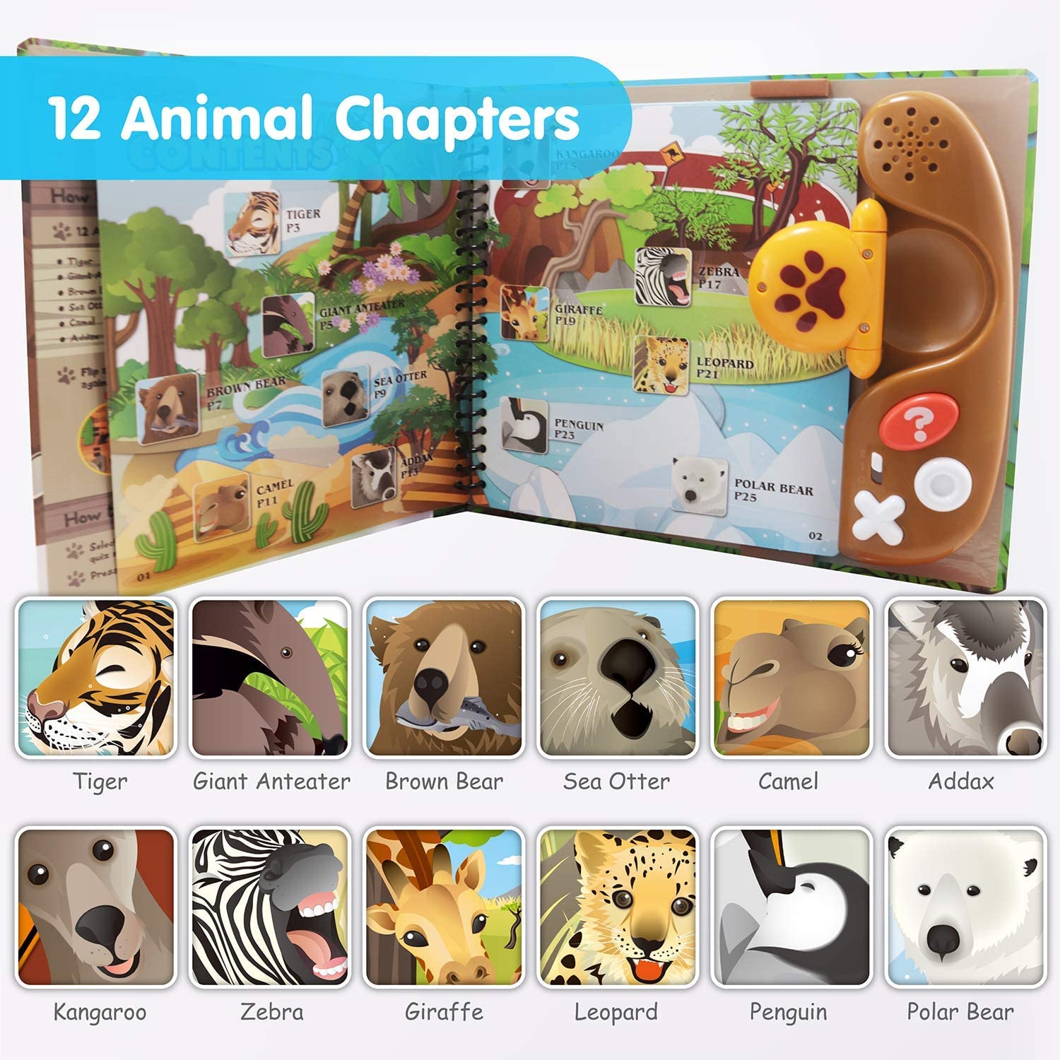 12 Best Animal Kingdom Education Book (Augmented Reality) Interactive Animal Books for 2024