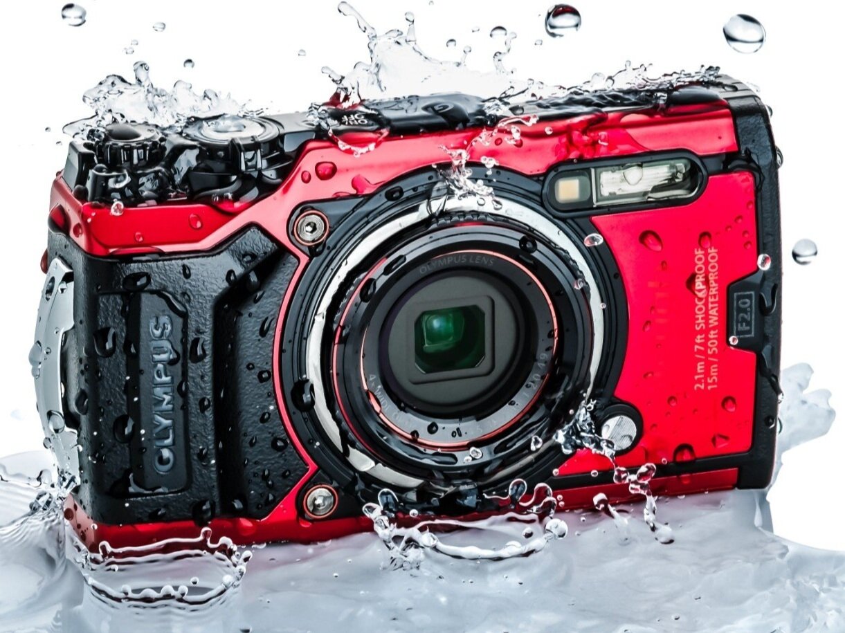 12 Best Shockproof Digital Camera For 2024
