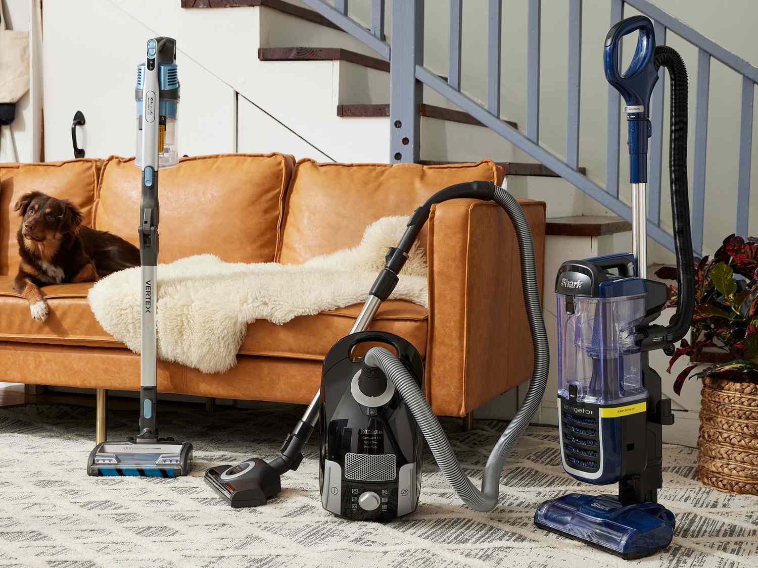 13 Amazing Robot Vacuum For Carpet For 2024