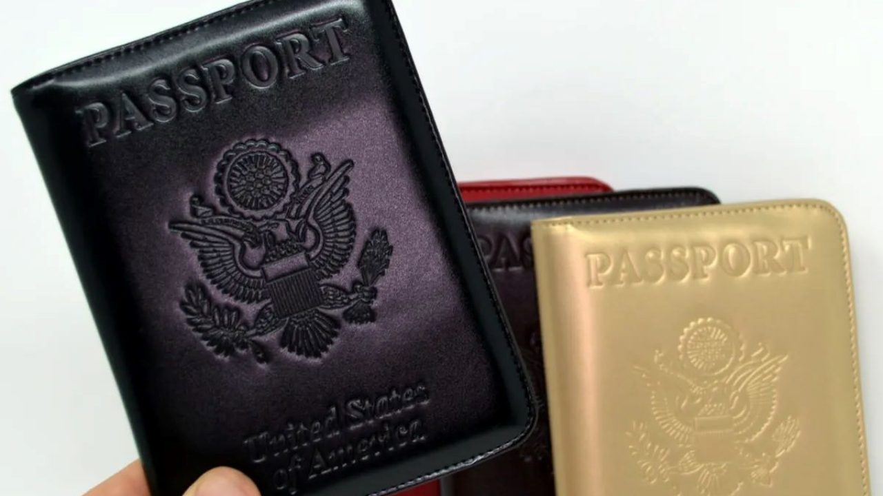 STORITE RFID Blocking PU Leather Passport Cover Wallet Organizer
