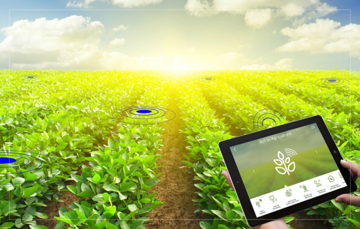 How Can IoT Help In Agriculture