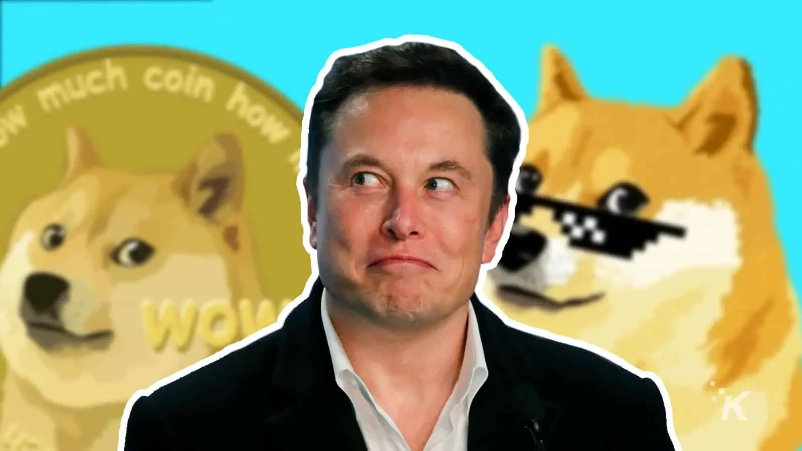 how-much-dogecoin-does-elon-musk-own