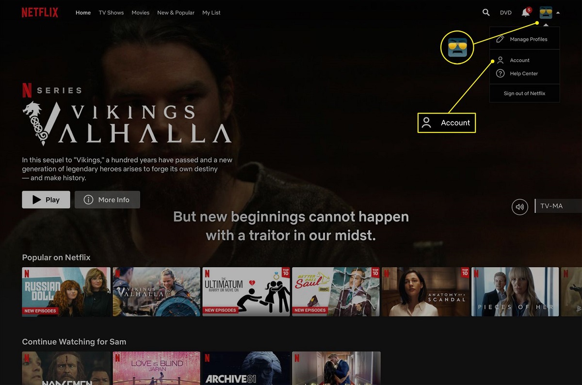 How To Change Video Quality On Netflix Smart TV