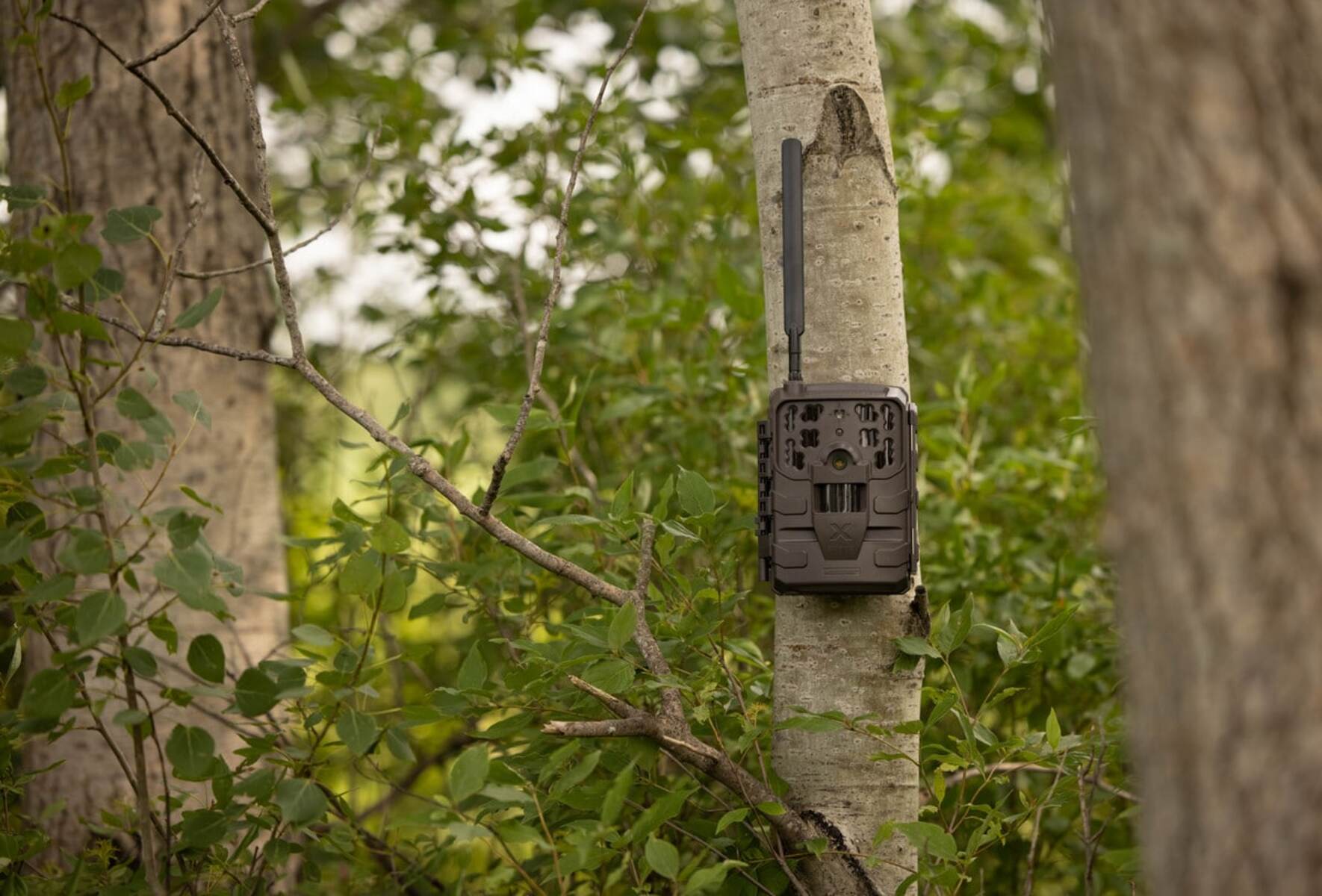 How To Hide A Trail Cam For Home Security