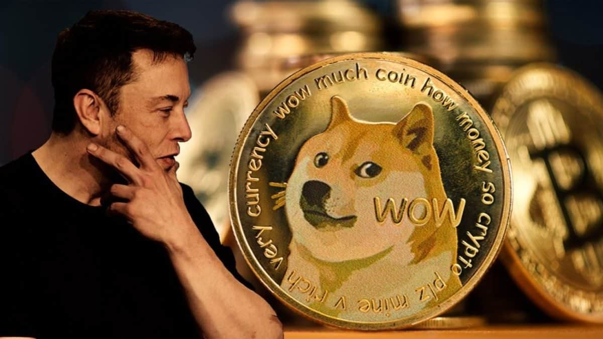 How To Join The Dogecoin Lawsuit?