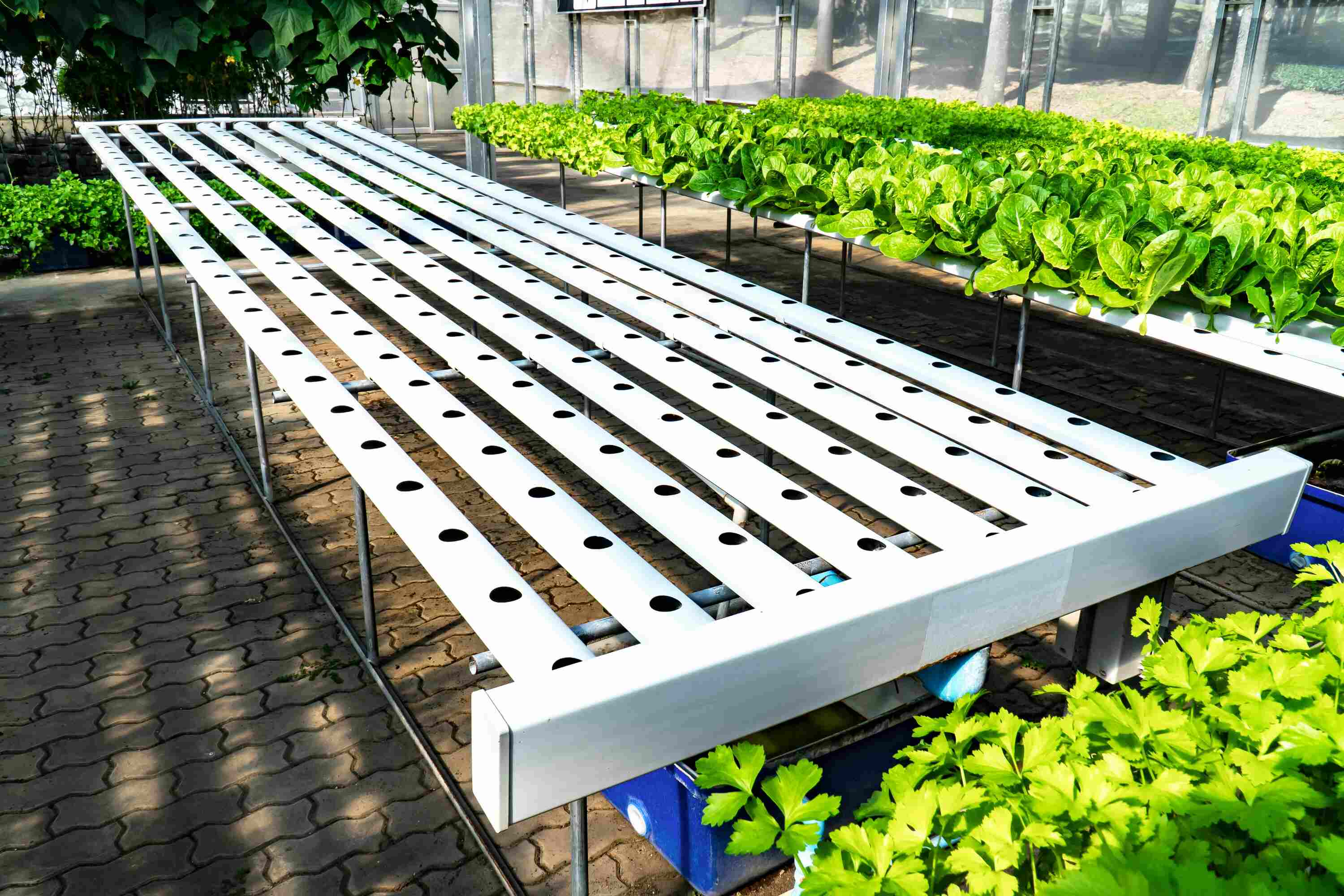 How To Make An NFT Hydroponic System