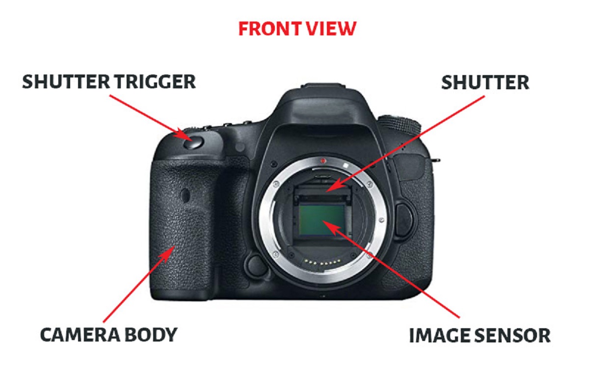 What Are The Basic Parts Of A Digital Camera