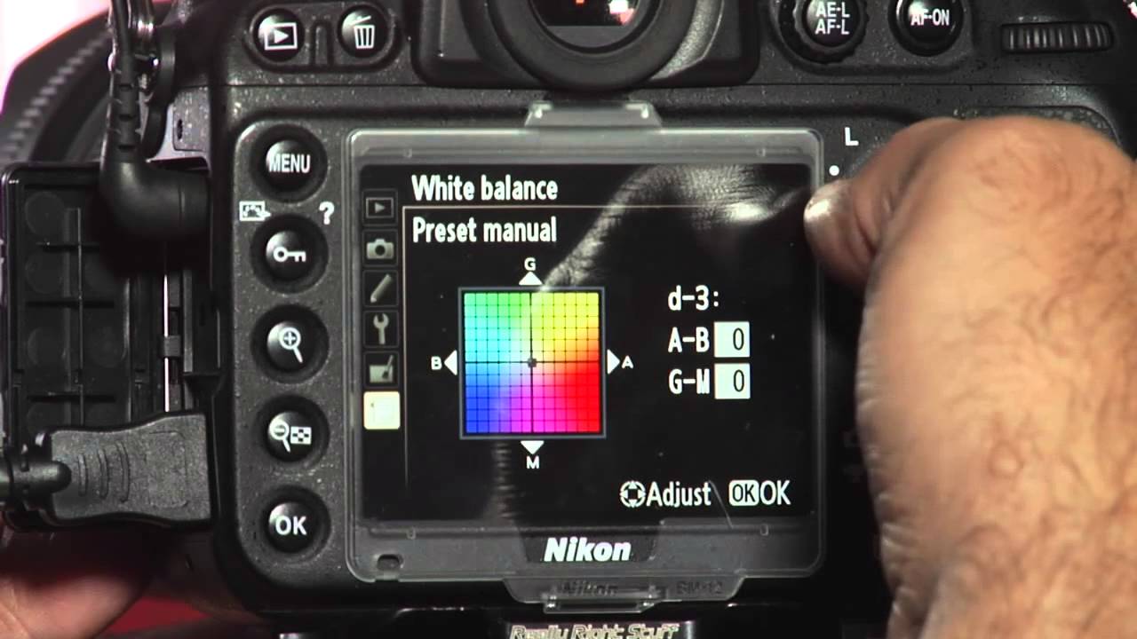what-is-the-color-balance-on-a-digital-camera