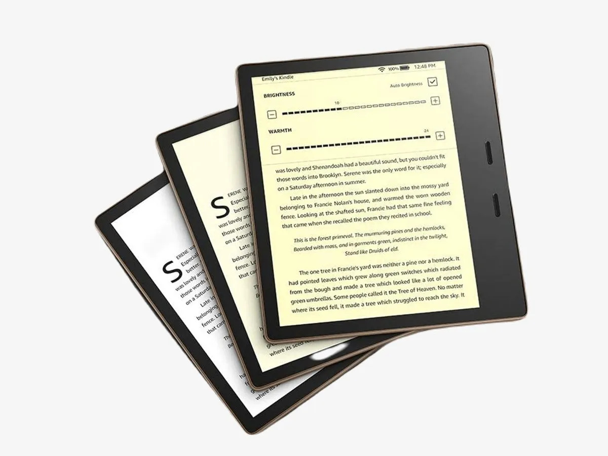 The 3 Best E-Readers of 2024