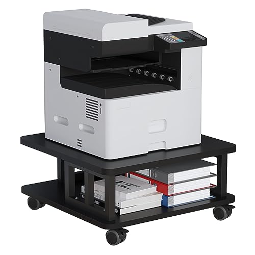 2-Tier Large Printer Shelf with Storage