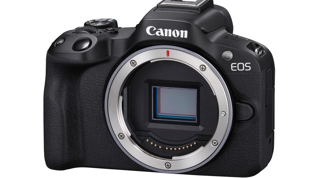 8 Best Digital SLR Camera For 2024