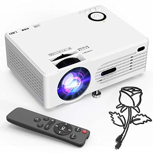 Affordable and Versatile Portable Projector