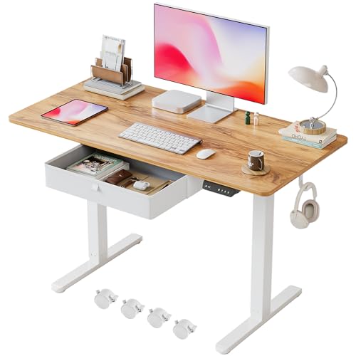 BANTI Electric Standing Desk with Drawer