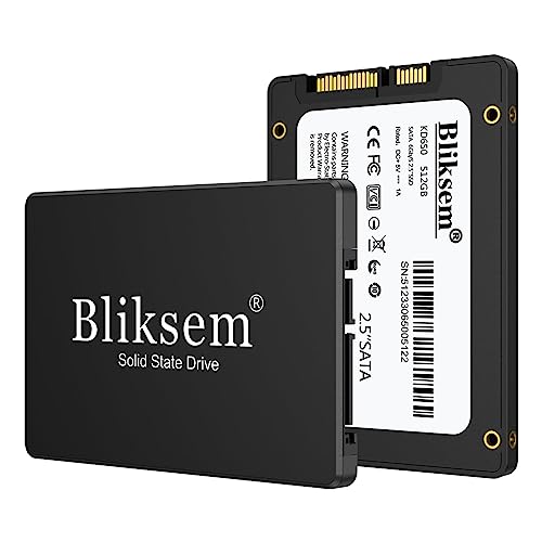 Bliksem SSD 256GB SATA III 6Gb/s Internal Solid State Drive