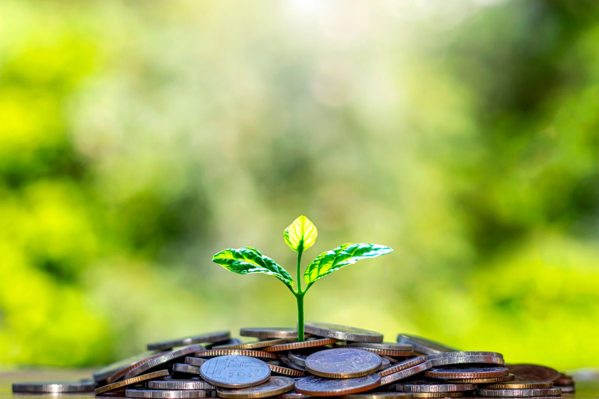 Congruent Raises $250M For Early-Stage Climate Tech Fund