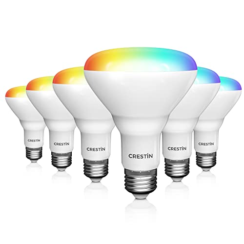 CRESTIN Smart Flood Light Bulb