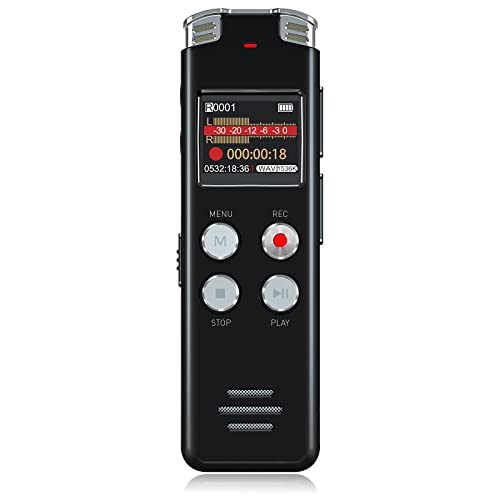 Digital Voice Recorder with Playback