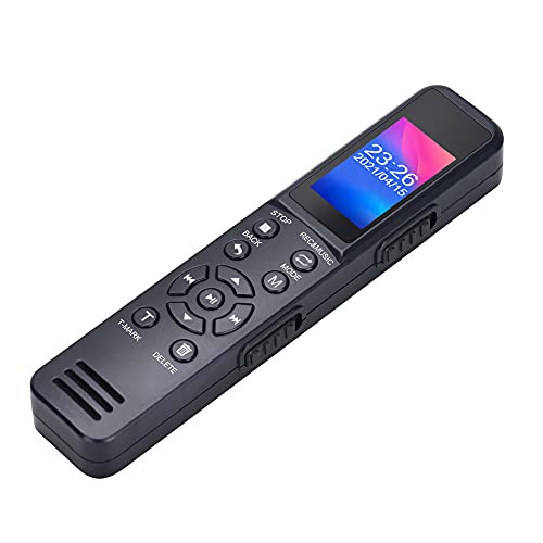 Digital Voice Recorder with Playback