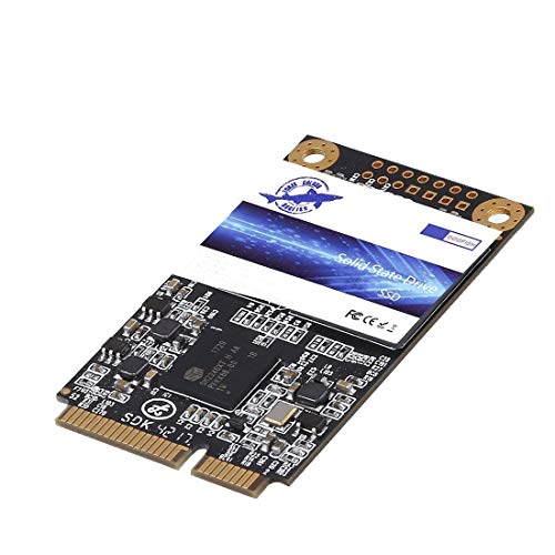 Dogfish SSD Msata 64GB Internal Solid State Drive