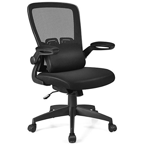 Ergonomic Desk Chair with Lumbar Pillow and Flip up Armrests