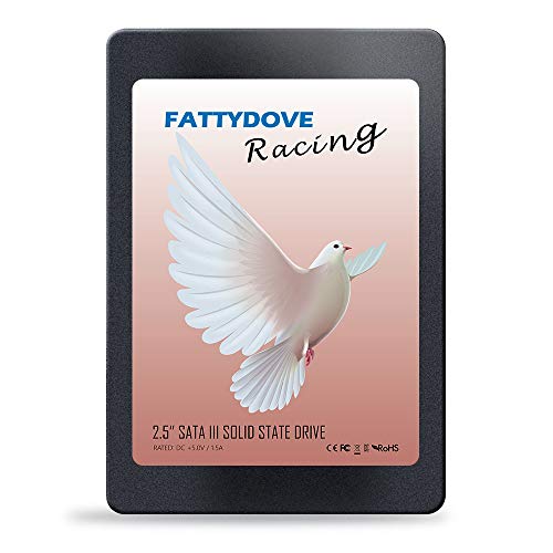 FATTYDOVE 2.5 inch SSD 240GB Internal Drive SATA III Solid State Drive