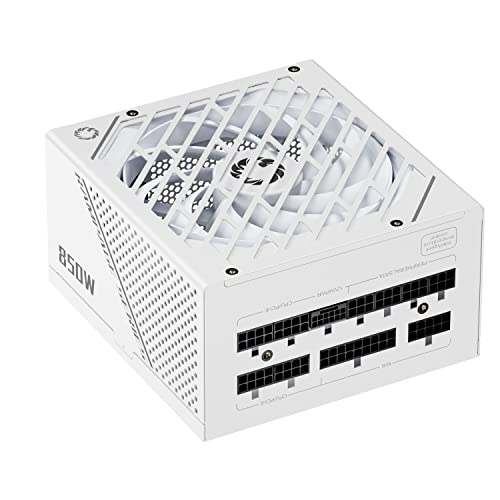 GAMEMAX Rampage Series 850W PCIE 5.0 & ATX 3.0 80 Plus Gold Certified Fully Modular Power Supply, 135mm F.D.B Fan, 105°C Japanese Caps, 10 Year Warranty, GX850, White