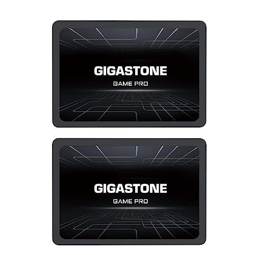 Gigastone IT PRO SSD 1TB - High Performance Internal Solid State Hard Drive