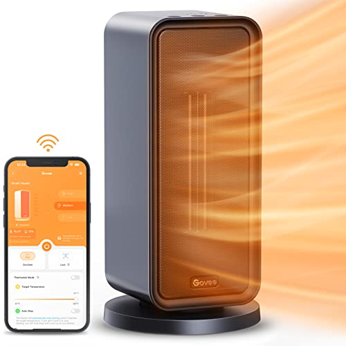 Govee Electric Space Heater
