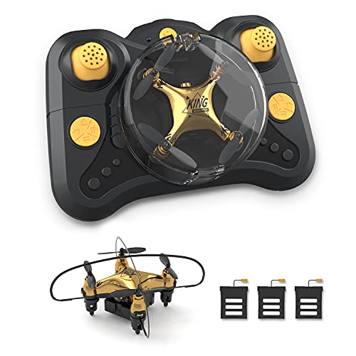 Holyton HT02 Golden Mini Drone for Beginners and Kids