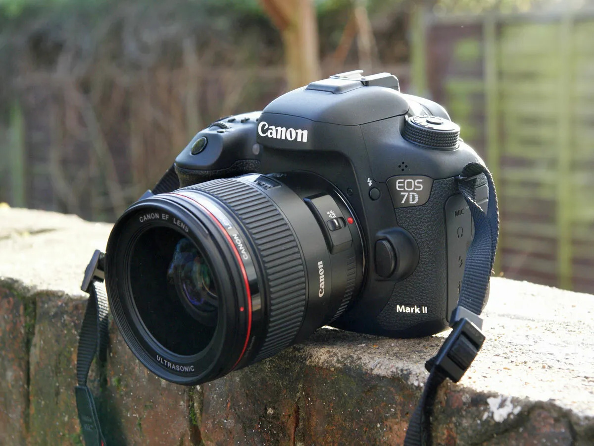 How Many Megapixels Does The Canon EOS 7D Mark II Digital SLR Camera Have?